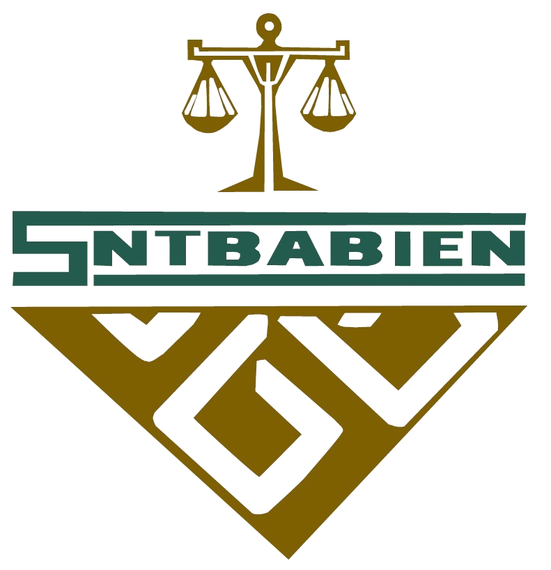 SNTBANSEFI